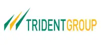 Trident Group Trident Group